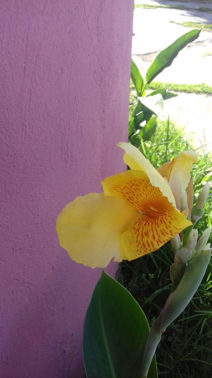 Pousada Rosa Cafe Paraty Luaran gambar